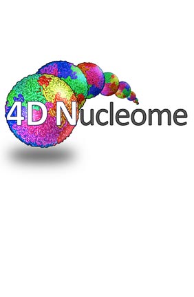 4D nucleome project