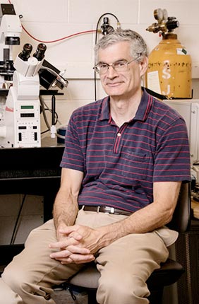 Professor of Mechanical Science and Engineering Ning Wang, left, with Professor of Cell and Developmental Biology Andrew Belmont, are exploring how mechanical signaling can be used for gene regulation or to identify targets for cancer therapies.