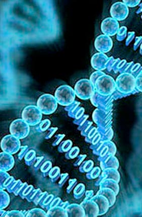 Illinois is leading a new center with colleagues at Mayo Clinic and the Center for Computational Biotechnology and Genomic Medicine (CCBGM) that seeks to develop a new platform for generating, interpreting, and applying genomic data for a wide variety of applications.