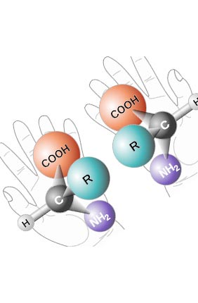 Computer simulation of the emergence of homochirality.  The vertical axis represents space, here in only one dimension for simplicity, while the horizontal axis is time.  The colors represent the degree of chirality, with red being (e.g.) right and blue being (e.g.) left.  At the beginning the mixture has equal numbers of right and left-handed molecules, and during the time evolution, the red and blue phases compete over the spatial domain, resulting in the eventual dominance of the blue chiral phase.