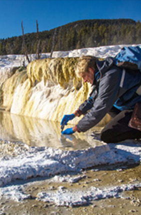 Halomonas are a hardy breed of bacteria living in deep sandstone formations that are useful for hydrocarbon extraction and carbon sequestration, as reported in new research led by IGB member Bruce Fouke. 