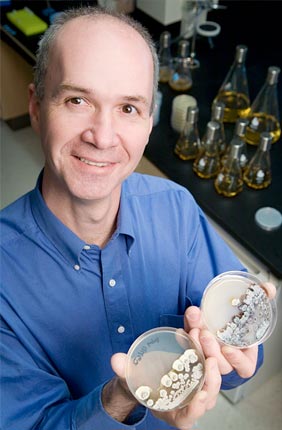 Six researchers from the University of Illinois at Urbana-Champaign have been named Fellows of the American Association for the Advancement of Science (AAAS), including William Metcalf, G. William Arends Professor in Molecular and Cellular Biology in the department of microbiology and leader of the IGB Mining Microbial Genomes research theme.