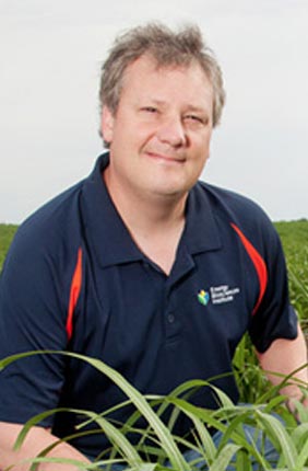 Energy Biosciences Institute program leader and University of Illinois crop sciences professor Stephen Moose and his colleagues mapped the Miscanthus sinensis genome