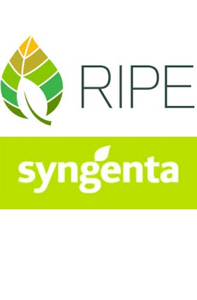 Illinois and Syngenta Crop Protection, LLC, have signed an agreement to implement a commercialization strategy for IP developed under the Gates RIPE project.