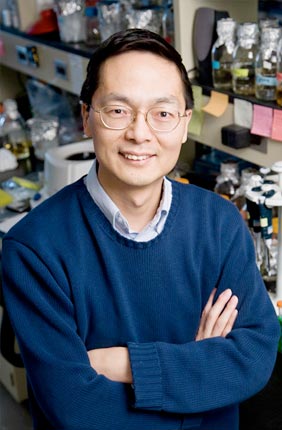 The newly established Global Biofoundry Consortium, led by Professor of Chemical and Biomolecular Engineering Huimin Zhao, looks to develop biofoundries for accelerated biological engineering and fundamental research.