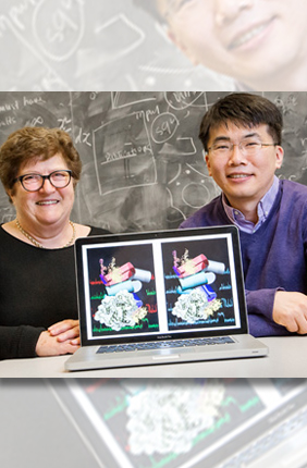 IGB faculty Zaida Luthey-Schulten and Taekjip Ha led a study of how the ribosome assembles itself.