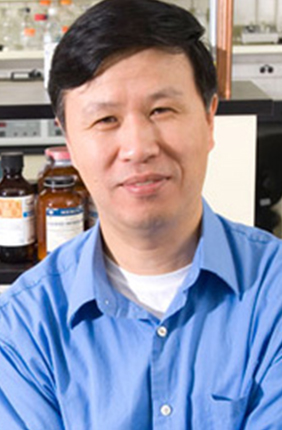 Professor Ning Wang led a team that found that tumor-repopulating cancer cells can go dormant in stiffer tissues but wake up and multiply when placed in a softer environment.