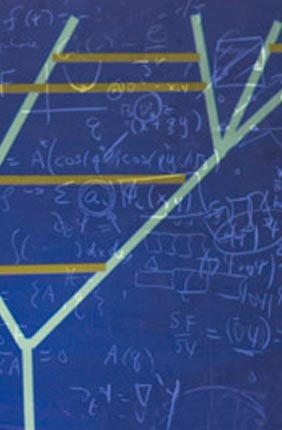 IGB faculty and Swanlund Professor of Physics Nigel Goldenfeld is leading a new interdisciplinary NASA Astrobiology Institute (NAI) team including many IGB members with the aim to provide a clearer understanding of the early stages of evolution.