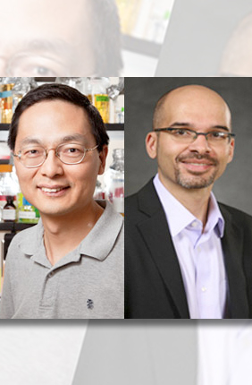 The Roy J. Carver Charitable Trust has awarded a $2 million grant to the IGB. Under the leadership of PI Huimin Zhao and co-PI Christopher Rao, the grant will provide instrumentation and core facilities for a new research theme devoted to synthetic biology.