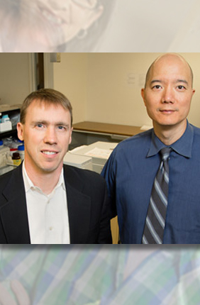 Chemistry professor and IGB faculty Paul Hergenrother (left) with veterinary clinical medicine professor Tim Fan led a study of an anti-cancer compound in dogs now headed for human clinical trials.