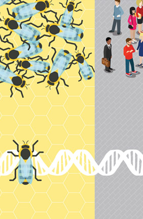 Socially unresponsive bees share something fundamental with autistic humans, new research finds.  
