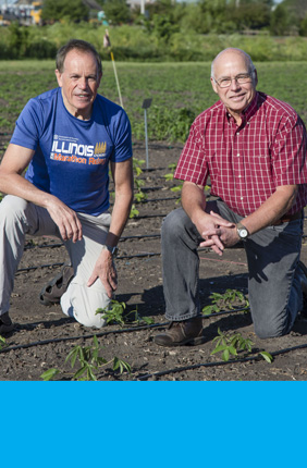 Researchers led by Stephen Long (left) and Don Ort (right) will continue transformative work to increase yields of food crops for farmers worldwide through Realizing Increased Photosynthetic Efficiency with the support of a five–year, $45-million reinvestment from the Bill & Melinda Gates Foundation , the Foundation for Food and Agriculture Research, and the U.K. Department for International Development. 