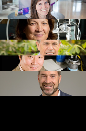 Five Illinois researchers rank among world’s most influential