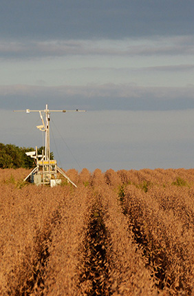 Scientists evaluate the photosynthetic performance of soybeans using these towers, which use hyperspectral cameras to capture light invisible to the human eye that may one day help us predict yield on a grand scale. 