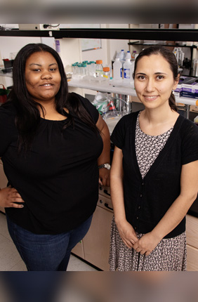 Racial disparities in breast cancer diagnosis and survival rates may have more to do with women’s living environments than their races, suggests a new meta-analysis of recent research on the topic by, from left, graduate student Brandi Patrice Smith and professor Zeynep Madak-Erdogan, both in the department of food science and human nutrition at the University of Illinois.