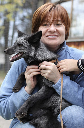 Anna Kukekova with fox.