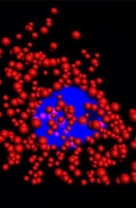 Quantum dots illuminate the locations of individual mRNA as red dots in the cytoplasm of a single HeLa cell. The blue region is the nucleus. This work was a collaborative effort between Illinois Bioengineering and Mayo Clinic researchers. 