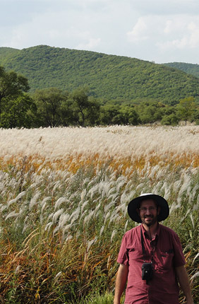 In Eastern Siberia, Professor Erik Sacks collected cultivars of <i>Miscanthus</i>—a popular, low-input, perennial bioenergy feedstock. A new study from the University of Illinois found three Miscanthus plants that have exceptional photosynthetic performance in chilling temperatures, which will be used to breed improved varieties.