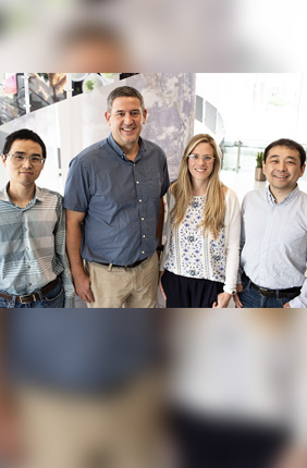 A team from the University of Illinois has stacked together six high-powered algorithms to help researchers make more precise predictions from hyperspectral data to identify high-yielding crop traits. 