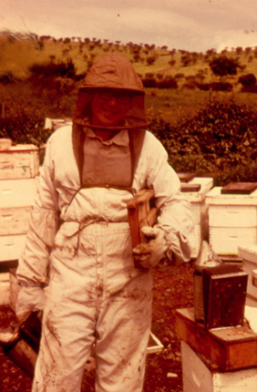 Gene and the honey bee