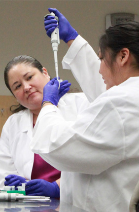 Johns Hopkins post-doctoral researcher Dr. Jessica L. Elm, citizen of the Oneida Nation and descendant of the Stockbridge-Munsee Band of the Mohicans, watches Alison Watson of the Navajo Nation as she receives hands-on training in genomics research at the 2019 SING workshop taking place on the University of Illinois Urbana campus.