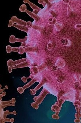 Illinois study tracks evolution of SARS-CoV-2 virus mutations