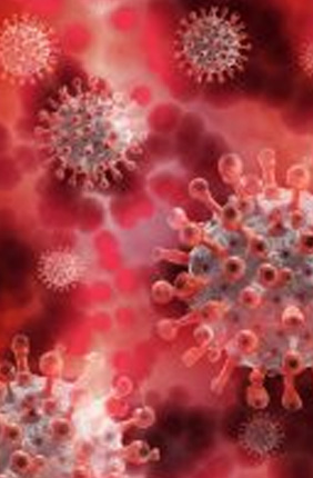 Illinois Team Tracks COVID ‘Spike’ Protein for 2020 iGEM Competition