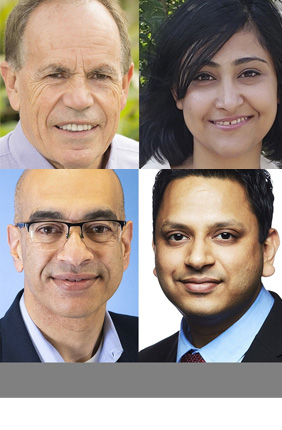 University of Illinois researchers (L to R) Steve Long, Shraddha Maitra, Vijay Singh, and Deepak Kumar conducted a series of studies on biofuel production from energycane.