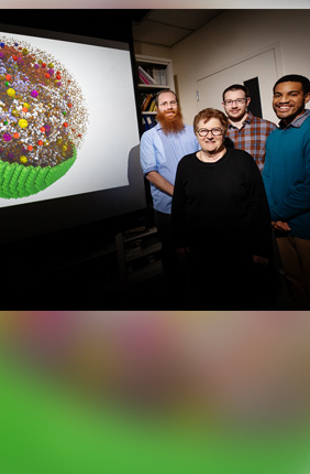 With their colleagues, researchers, from left, graduate student Zane Thornburg, chemistry professor Zaida (Zan) Luthey-Schulten and graduate students Benjamin Gilbert and Troy Brier successfully simulated a living “minimal cell.” The advance will aid in creating computer models that accurately predict how living cells will behave when changes are made to their genomes or other characteristics.
