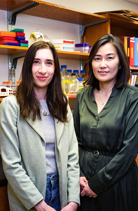 From left, U. of I. doctoral candidate Jennifer Walters and molecular and integrative physiology professor Hee Jung Chung discovered that TC-2153, an inhibitor of a brain-specific protein known as STEP, reduces seizures that originate in the hippocampus in mice.