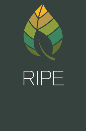 Improving crop yields in collaboration with RIPE