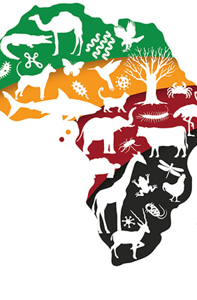 The AfricaBP logo represents the African continent, and the African Union flag colors represent the unity of the African people. The logo also depicts a representation of the species the researchers want to sequence.