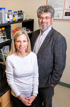 Kinesiology and community health professor Marni Boppart, left, chemistry professor Jonathan Sweedler and their colleagues developed a new method to recover skeletal muscle after disuse.