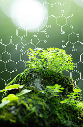 Mining microbial genomes to discover natural products