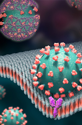 Tiny nets woven from DNA strands cover the spike proteins of the virus that causes COVID-19 and give off a glowing signal in this artist’s rendering.