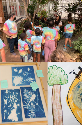 The Pollen Power camp included activities at the University of Illinois and the Stratton Academy of the Arts. Clockwise from top left: The campers visited greenhouses on the university campus, tasted different types of honey, grew bacteria that were isolated from their classrooms, and created cyanotypes with leaves and flowers.