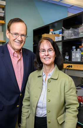 John Katzenellenbogen, left, Benita Katzenellenbogen and their colleagues found that stimulating estrogen receptor beta in triple-negative breast cancers alters the activity of cancer-related genes and reduces the growth and metastasis of these breast cancers. The work was conducted in human TNBC cells and in mice with TNBC tumors expressing varying levels of ER beta.