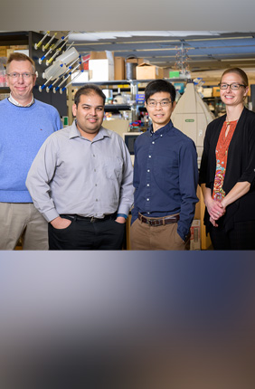 From left to right, Wilfred van der Donk, Angad Mehta, Nicholas Wu and Beth Stadtmueller will receive $9.5 million over three years through Howard Hughes Medical Institute’s Emerging Pathogens Initiative.