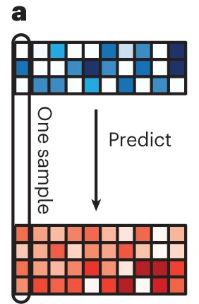 Researchers design AI method to predict metabolomic profiles of microbial communities