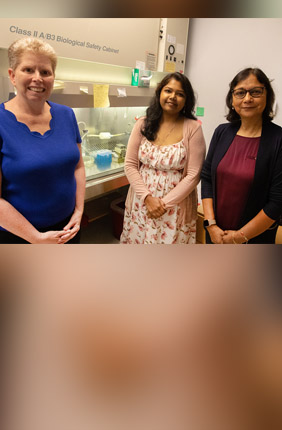 From left, Jodi Flaws, Arpita Bhurke, and Indrani Bagchi are studying how di-isononyl phthalate affects the reproductive system of women.