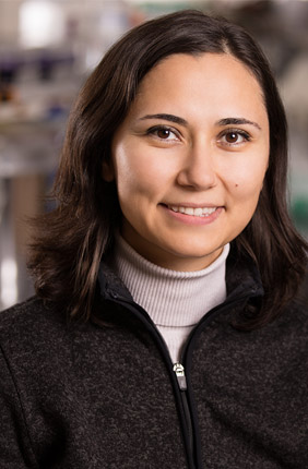 New research led by food science and human nutrition professor Zeynep Madak-Erdogan and her colleagues found that estrogen receptor-positive breast cancer presents differing metabolic signatures in the blood of African American women and non-Hispanic white women.  Madak-Erdogan is a faculty member at the University of Illinois Urbana-Champaign, and her partners on the project included scientists at the University of Illinois Chicago, Northeastern University and Northwestern University.