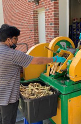 Researchers Somesh Mishra and Narendra Deshavath press wild-type sugarcane for juice at the Integrated Bioprocessing Research Laboratory (IBRL)