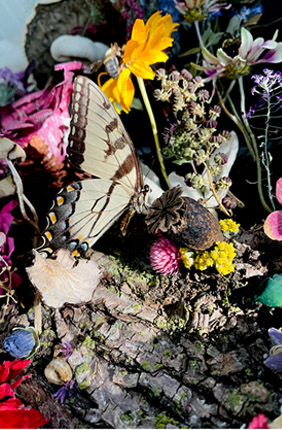 Community-wide collaborative art piece features locally foraged flora and fauna