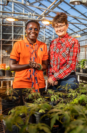 Esther Ngumbi, left, and Erinn Dady studied the effect of arbuscular mycorrhizal fungi, caterpillars, and the variety of tomato plants on plant chemistry.