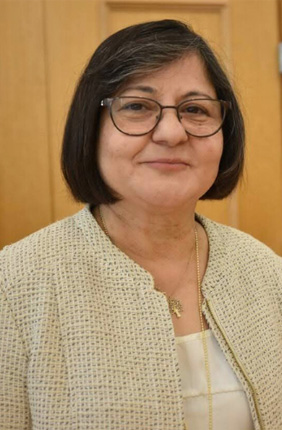 Despite uncertainties, cellulosic biofuels still a win for ground transportation