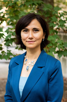 Zeynep Madak Erdogan image