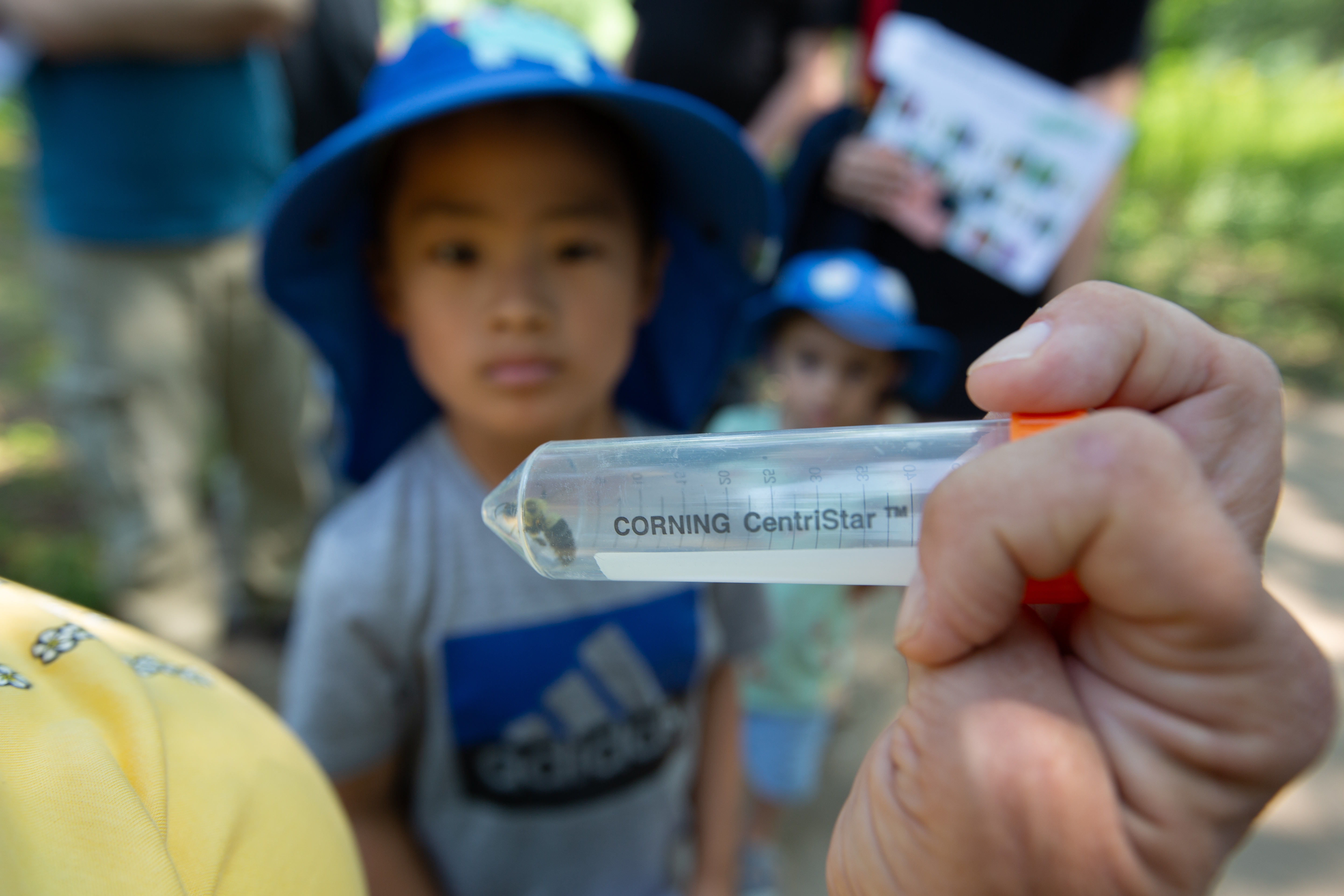 Guided outdoor walk for the Bees event, Anita Purves Nature Center