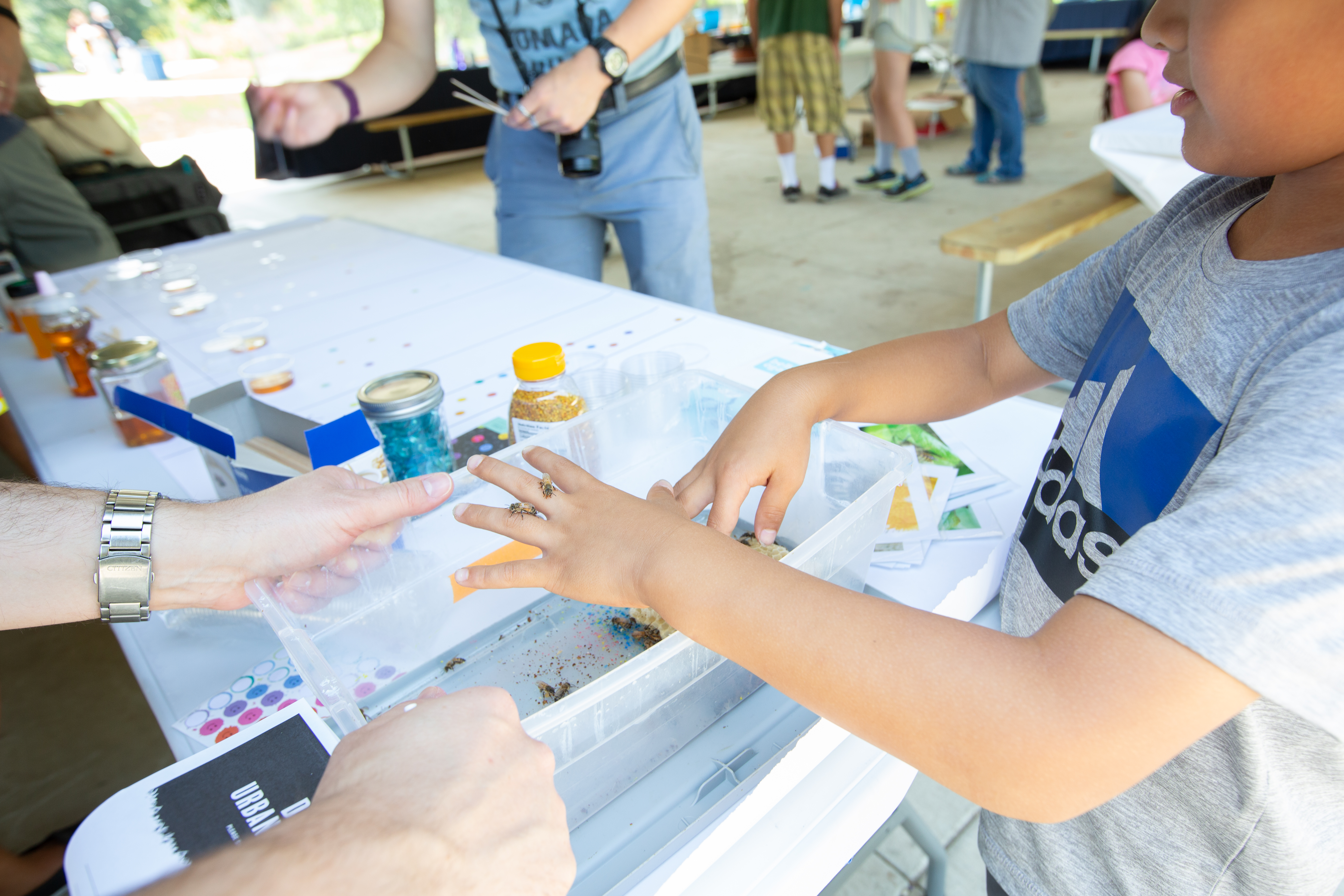 Activity table for the Bees event, Anita Purves Nature Center