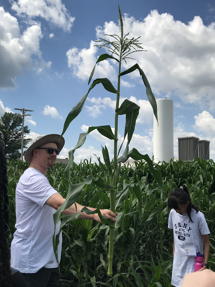 Pollen Power Camp