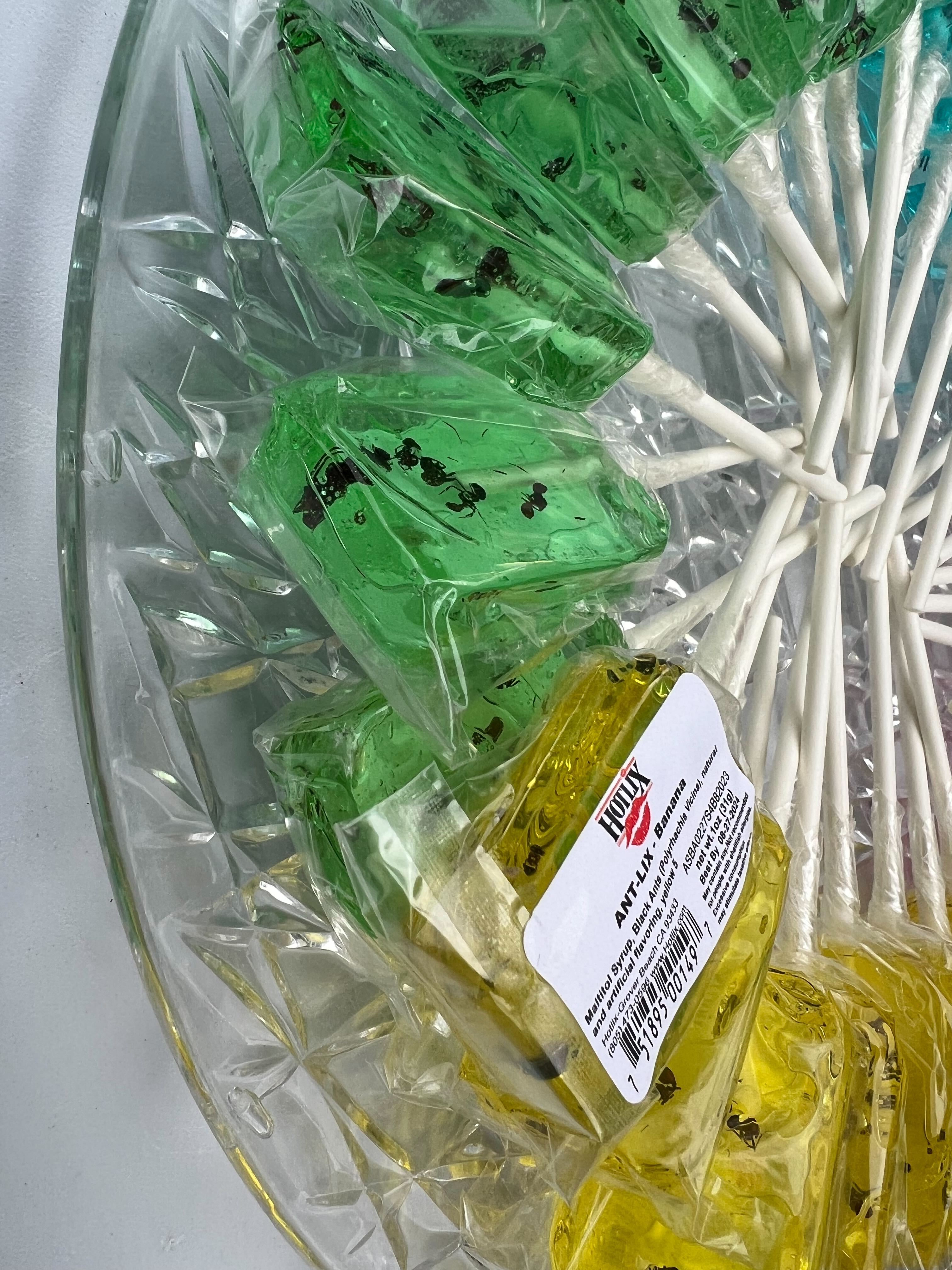 Ant lollipops available for snacks at the Bats event, Anita Purves Nature Center
